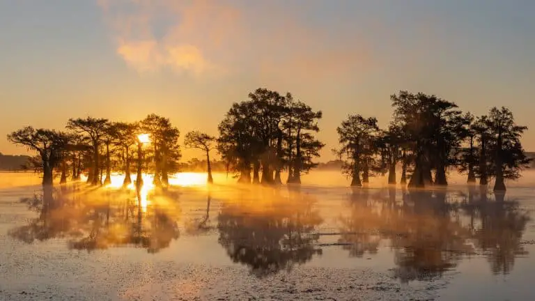 7 Best Texas State Parks for Fishing!
